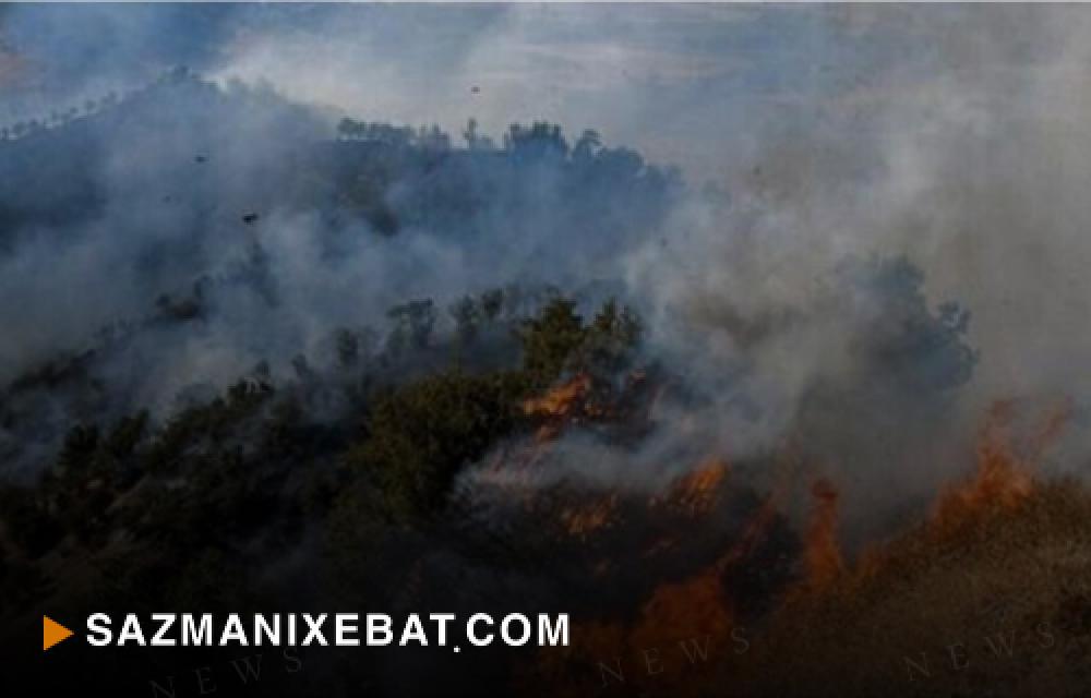 ئاگرکەوتنەوە لە دارستانەكانی سەلاسی باوەجانی بەردەوامە